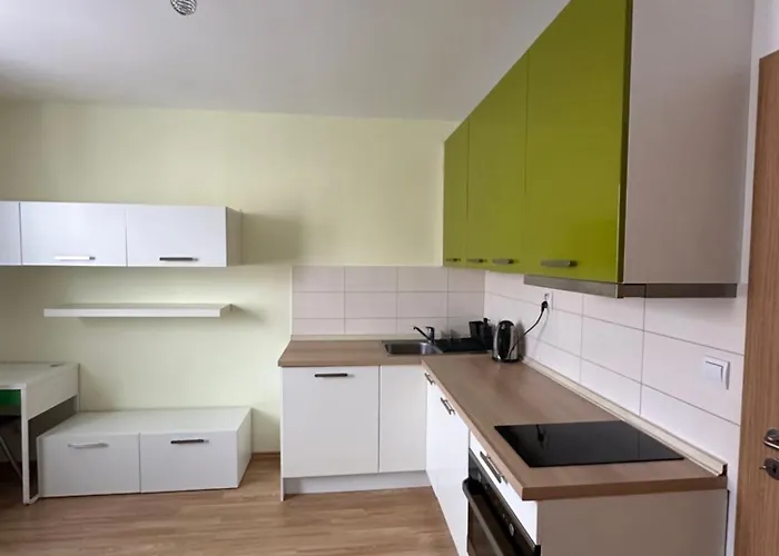 Private 1km From Center アパート ブラチスラヴァ